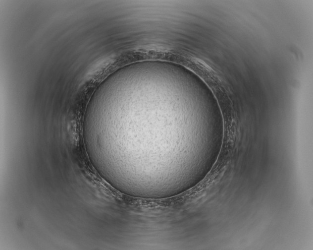 X0000111010774200906261519