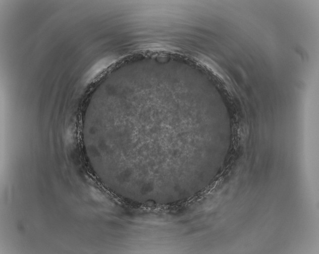 X0000111010775200906261519