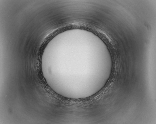 X0000111010776200906261519