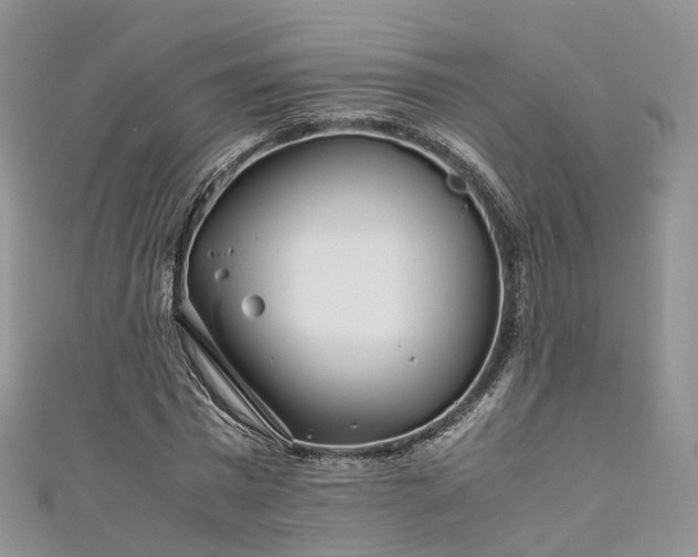 X0000111010777200906261518