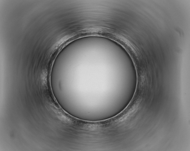 X0000111010778200906261518