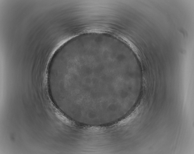 X0000111010779200906261518