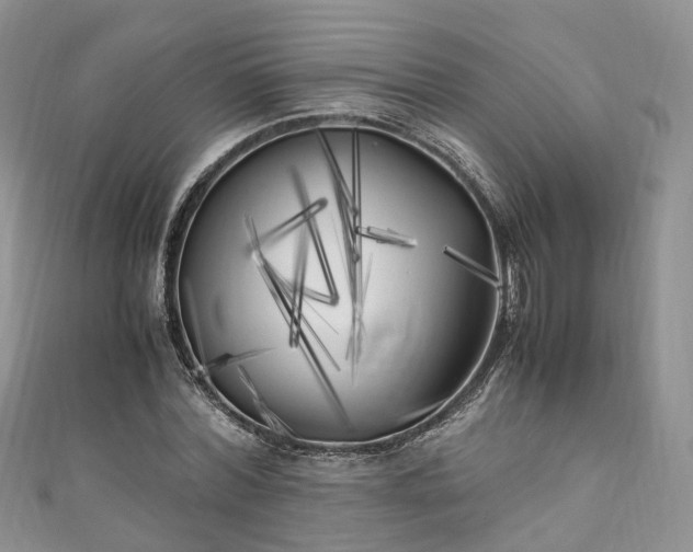 X0000111010780200906261518