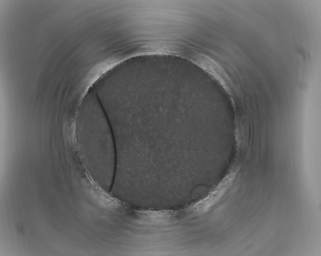 X0000111010781200906261518