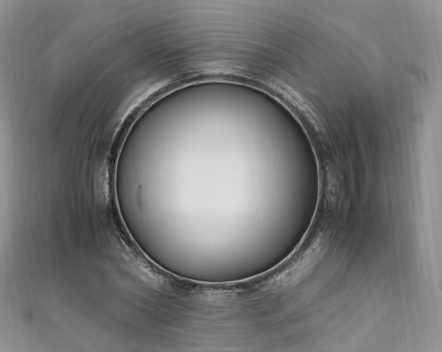 X0000111010782200906261518