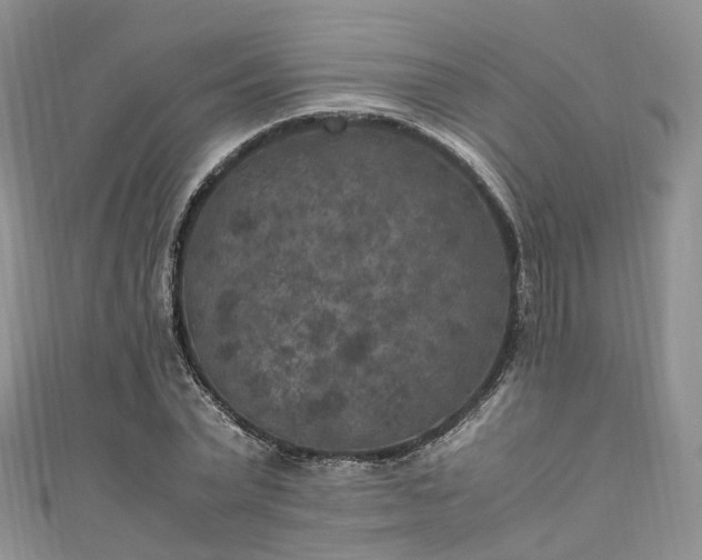 X0000111010783200906261518