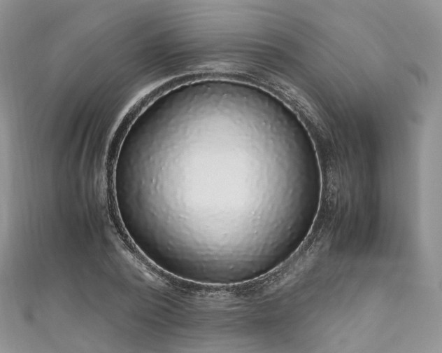 X0000111010784200906261518