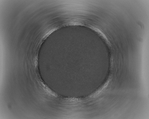 X0000111010785200906261518