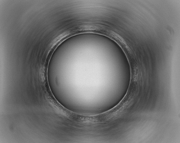 X0000111010786200906261518