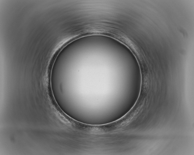 X0000111010787200906261518