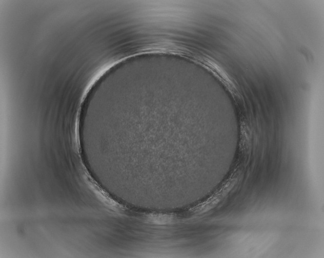 X0000111010788200906261518