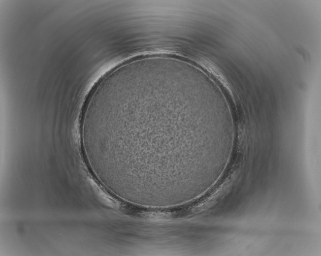 X0000111010789200906261518