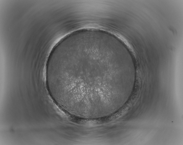 X0000111010791200906261518