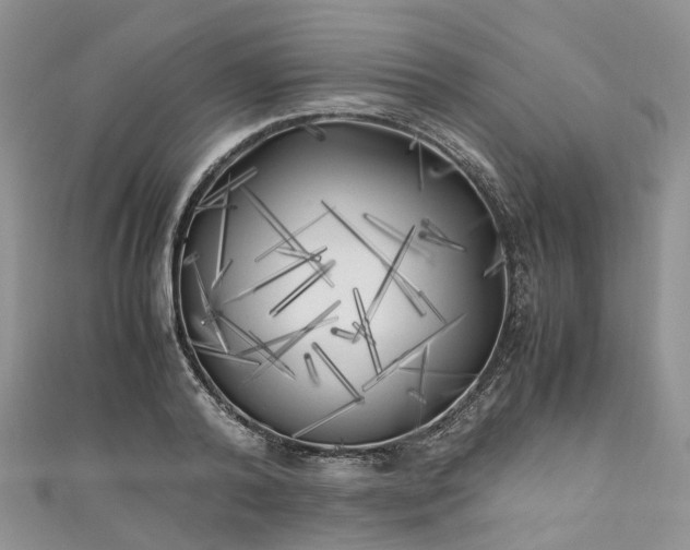 X0000111010792200906261518