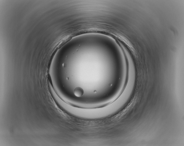 X0000111010793200906261518