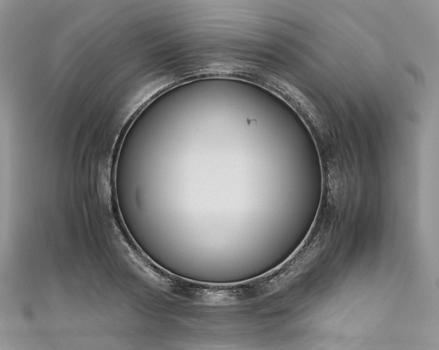 X0000111010794200906261518