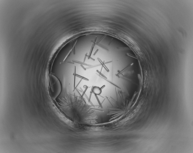 X0000111010796200906261518