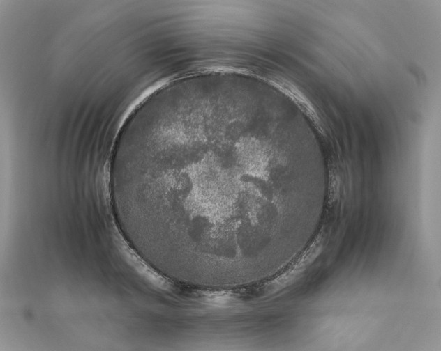 X0000111010798200906261518
