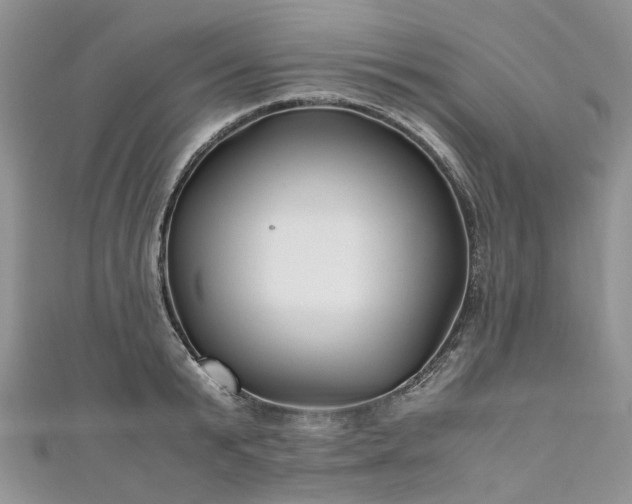 X0000111010799200906261518