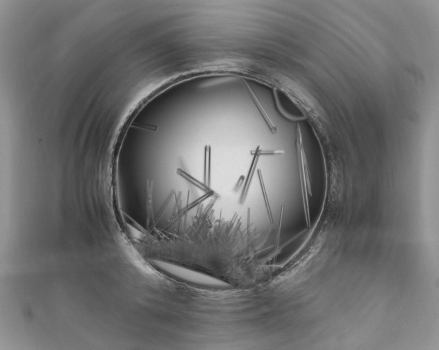 X0000111010800200906261518