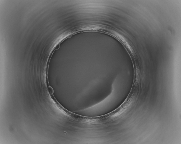 X0000111010802200906261518