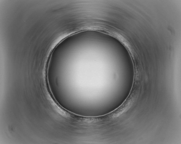 X0000111010803200906261518