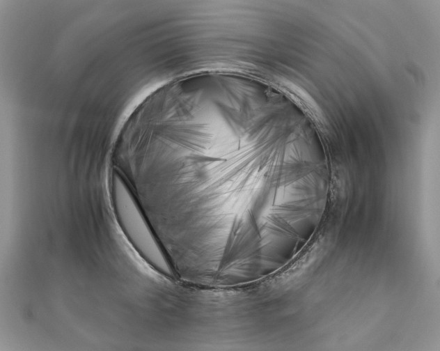 X0000111010804200906261518