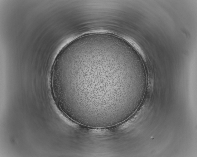 X0000111010805200906261518