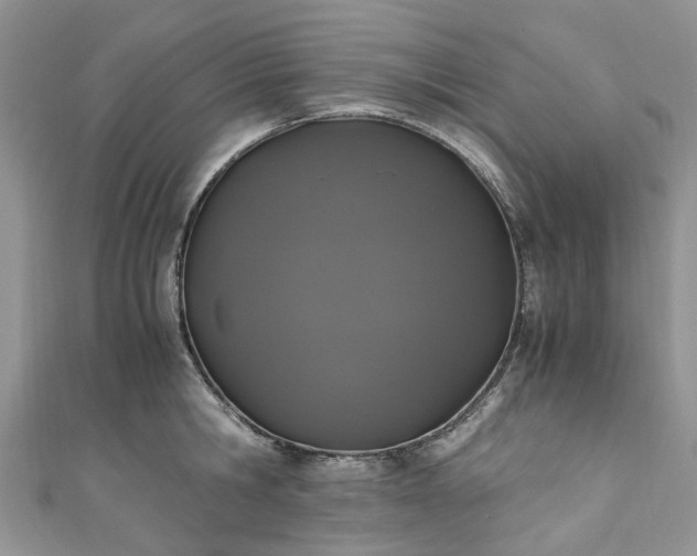 X0000111010806200906261518