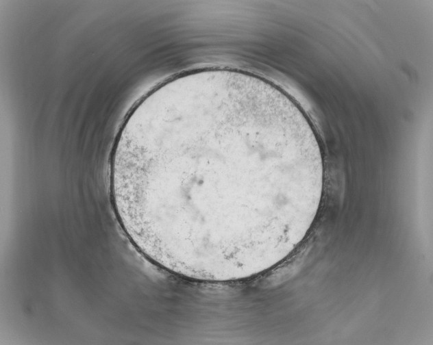 X0000111010807200906261518