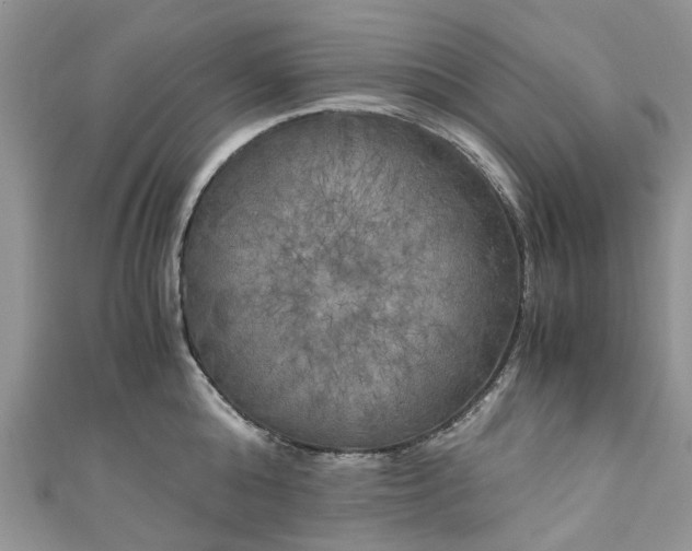 X0000111010808200906261518