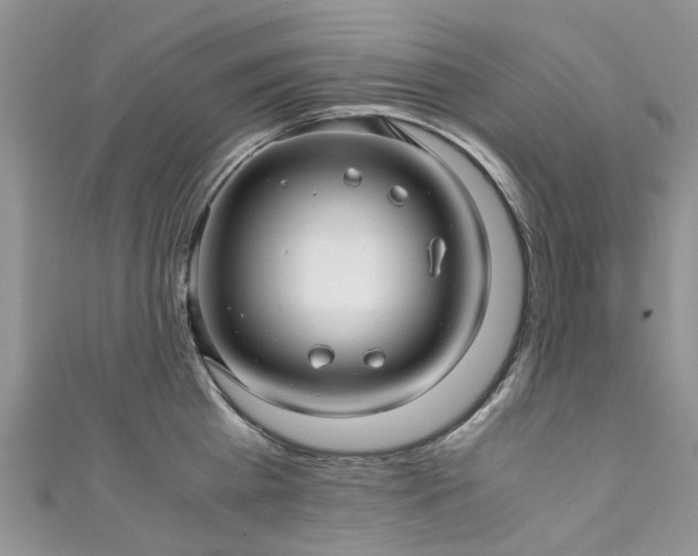 X0000111010809200906261518