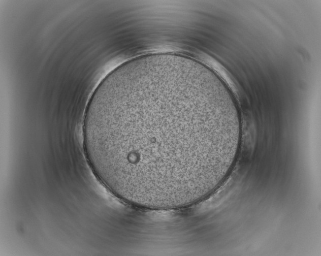 X0000111010810200906261518