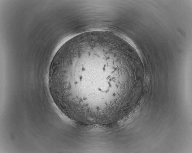 X0000111010811200906261518