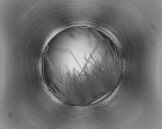X0000111010812200906261518