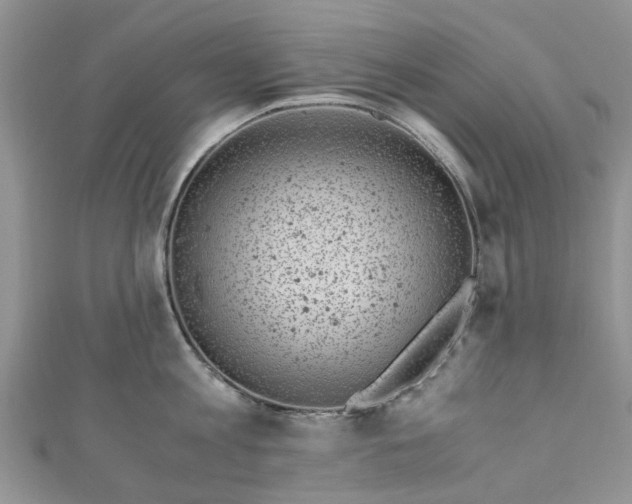 X0000111010813200906261518