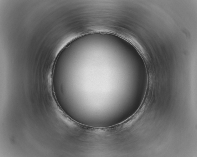 X0000111010814200906261518