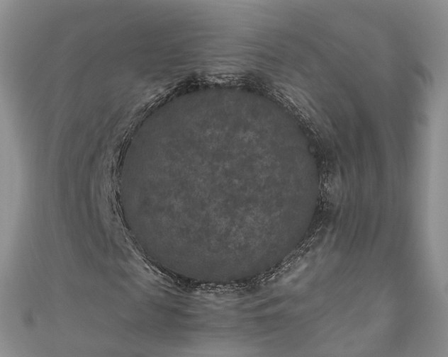 X0000111010817200906261517