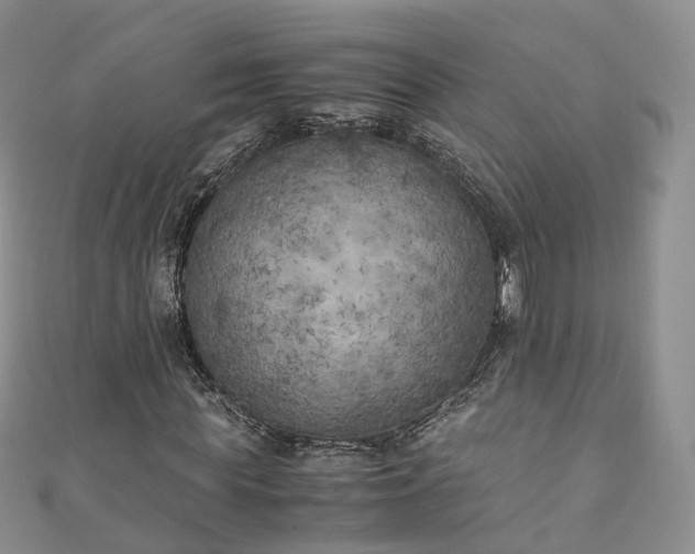 X0000111010819200906261517