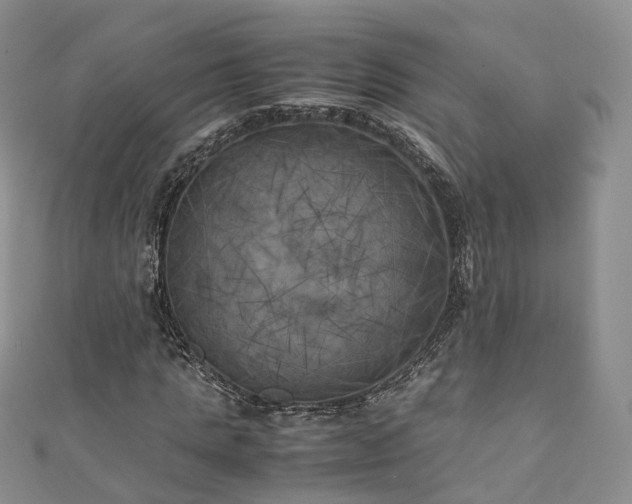 X0000111010821200906261517