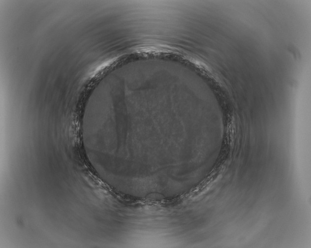 X0000111010822200906261517