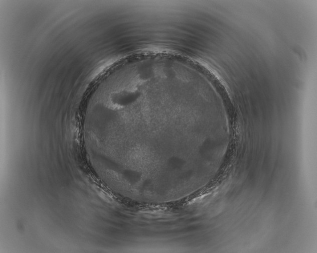 X0000111010823200906261517