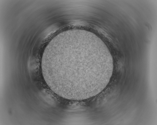 X0000111010824200906261517