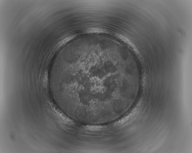 X0000111010825200906261517