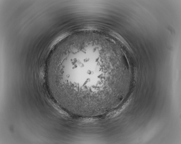 X0000111010826200906261517