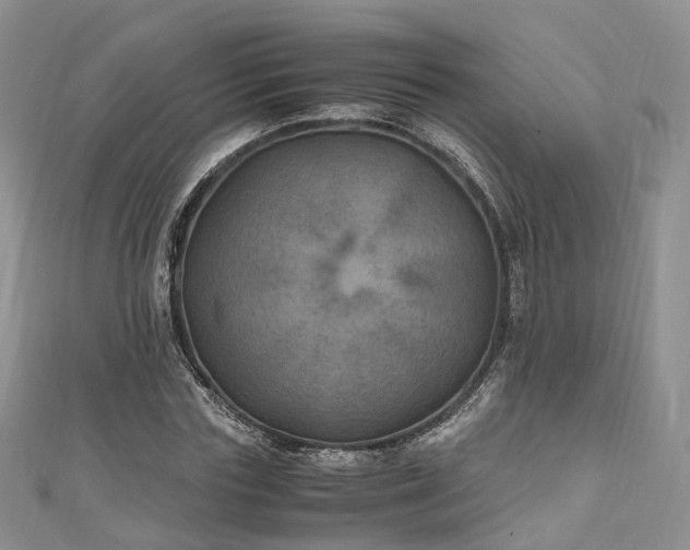 X0000111010827200906261518