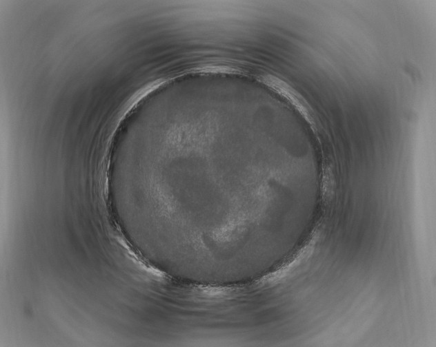 X0000111010829200906261518