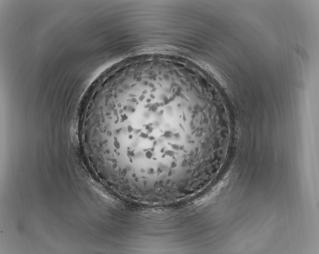 X0000111010830200906261518