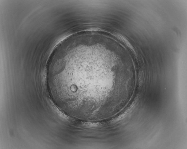 X0000111010831200906261518