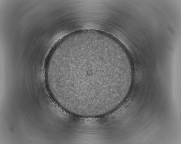 X0000111010832200906261518